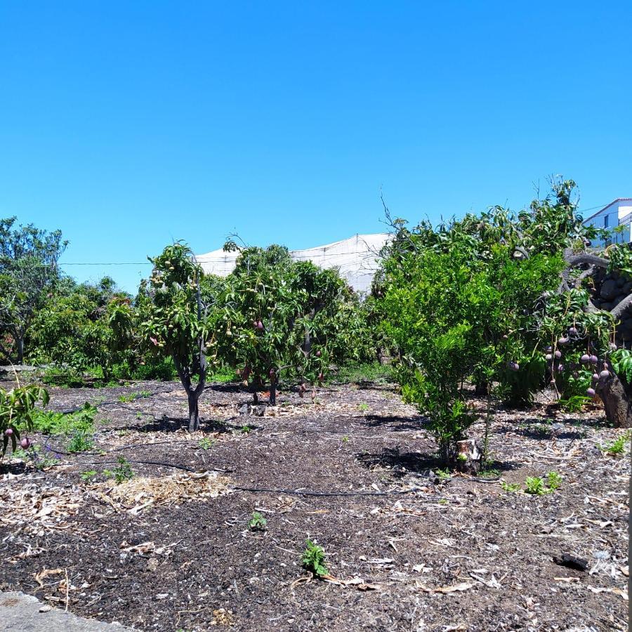 Casa Los Mangos Villa Tijarafe Eksteriør bilde